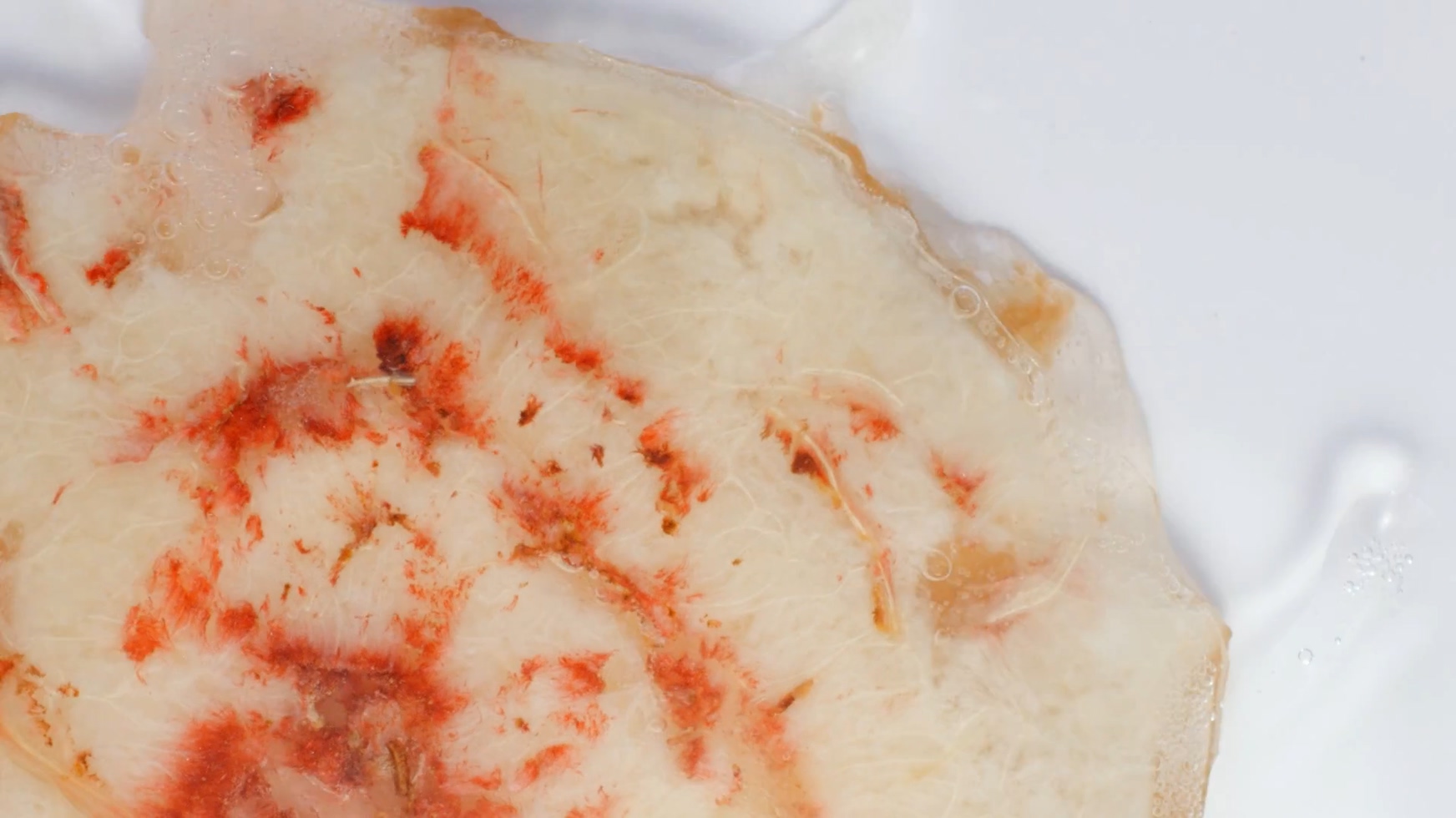 廣州飲食類宣傳片