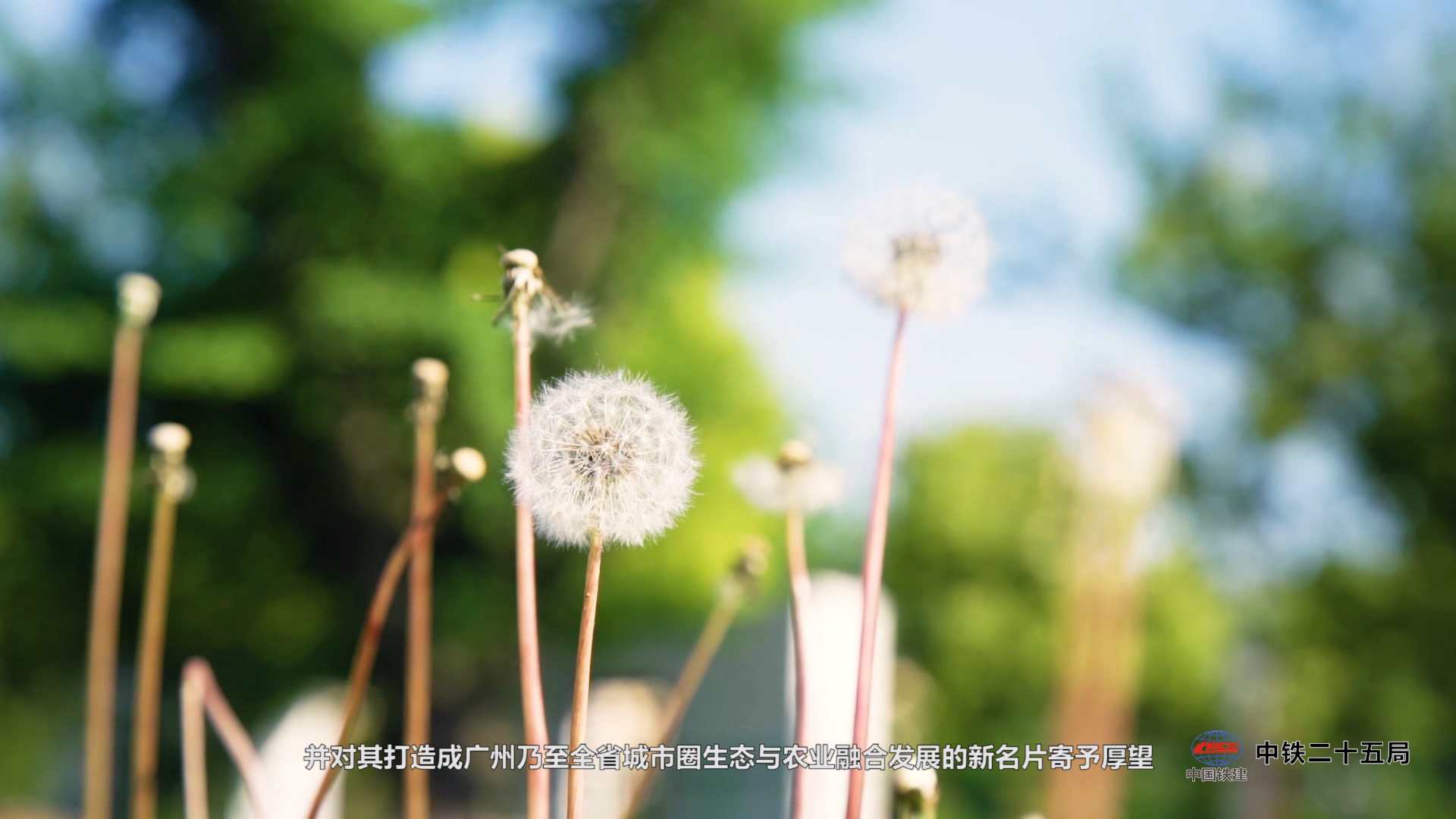 廣州廣告制作公司如何挑選？